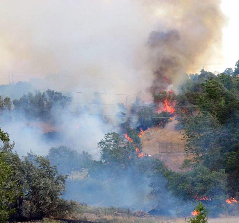 Ogden Canyon fire appears to have been set intentionally News, Sports, Jobs StandardExaminer